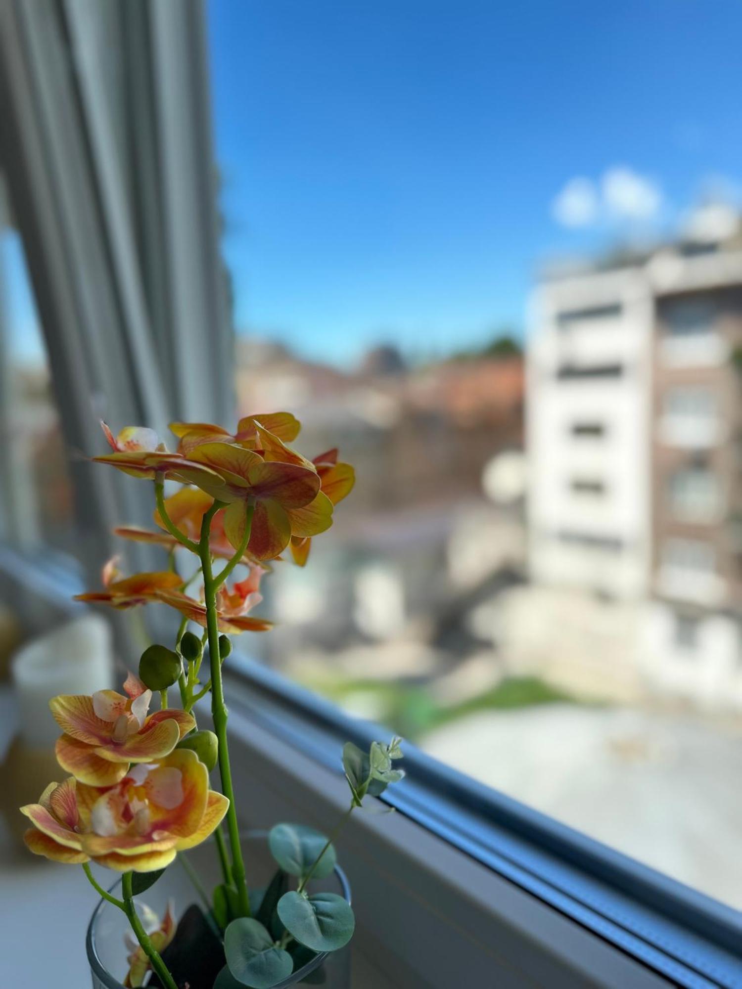 Aurelio Centar Apartment With Balcony And Free Parking SJJ Extérieur photo